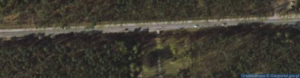 Zdjęcie satelitarne Poległym żołnierzom września