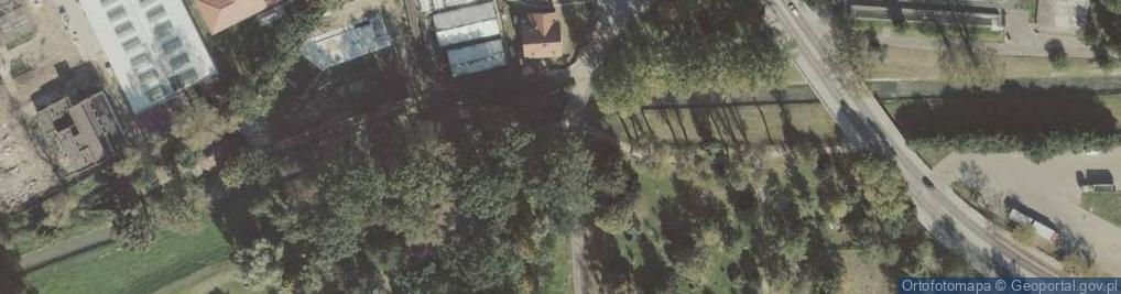 Zdjęcie satelitarne Polski Walczącej