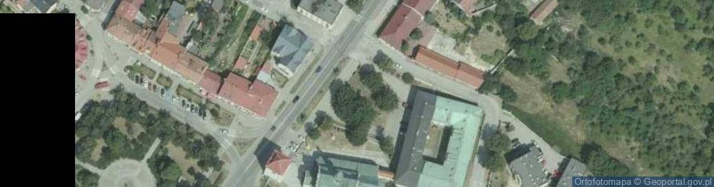 Zdjęcie satelitarne pomnik Adolfa Dygasińskiego