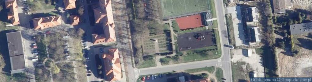 Zdjęcie satelitarne Pomnik Armi Czerwonej