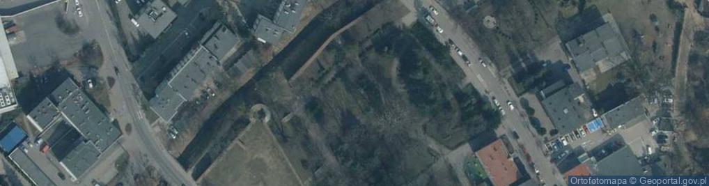 Zdjęcie satelitarne Pomnik F.Chopina