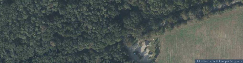 Zdjęcie satelitarne Pomnik Franciszka Jaśkowiaka