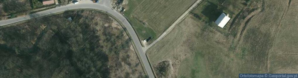 Zdjęcie satelitarne Pomnik Grunwaldu