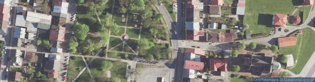 Zdjęcie satelitarne Pomnik Jana III Sobieskiego