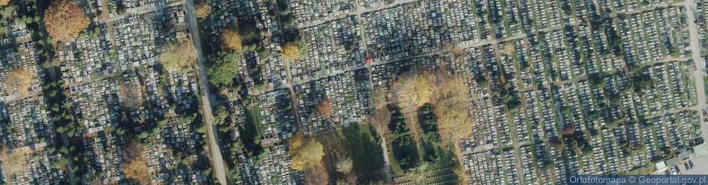 Zdjęcie satelitarne Pomnik katyński