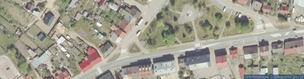Zdjęcie satelitarne Pomnik Kazimierza Wielkiego