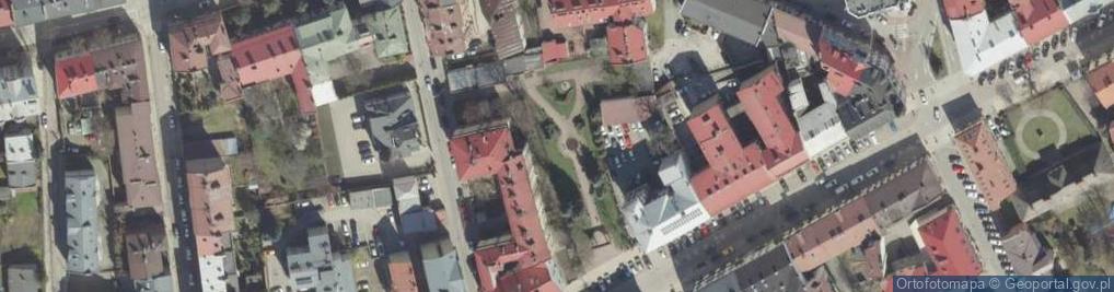 Zdjęcie satelitarne Pomnik - Kopijniki