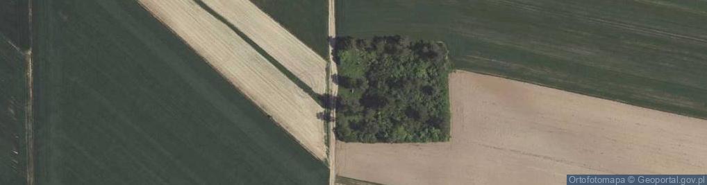 Zdjęcie satelitarne Pomnik, Obelisk, Tablica pamiątkowa