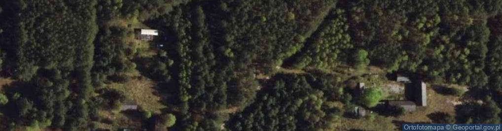Zdjęcie satelitarne Pomnik ofiar pacyfikacji wsi Lipniak-Majorat