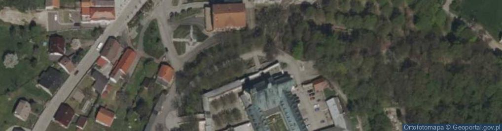 Zdjęcie satelitarne Pomnik Pielgrzyma