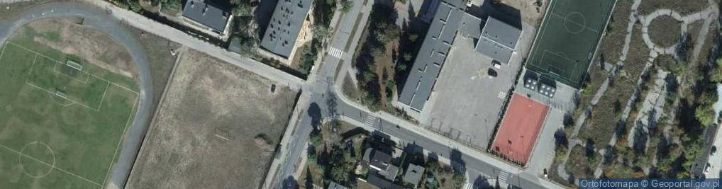 Zdjęcie satelitarne Pomnik piłki