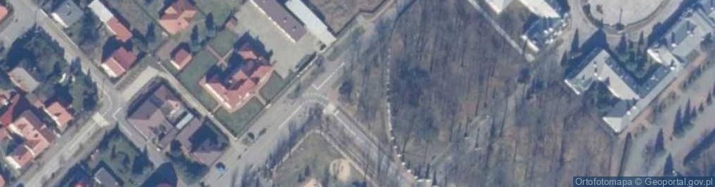 Zdjęcie satelitarne Pomnik poległym za wyzwolenie narodowe II wojny światowej