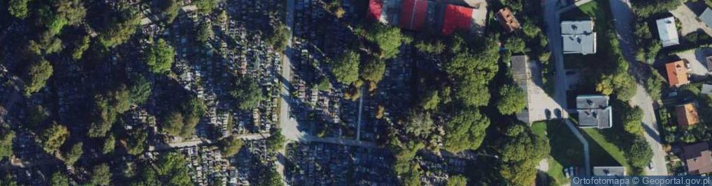 Zdjęcie satelitarne Pomnik poległym żołnierzom II WŚ