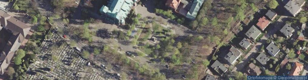 Zdjęcie satelitarne Pomnik św. Jadwigi Śląskiej