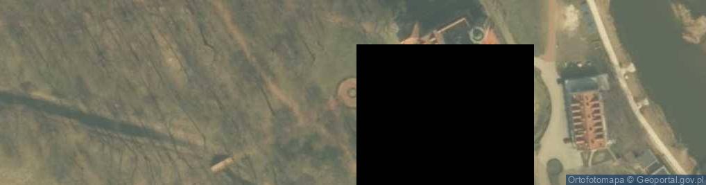 Zdjęcie satelitarne Pomnik uniejowskiej Białej Damy