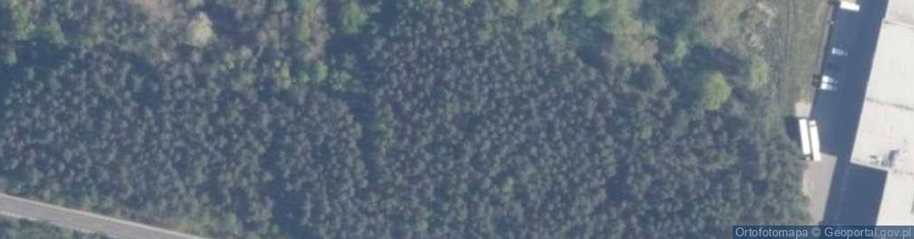 Zdjęcie satelitarne pomnik walk i męczeństwa