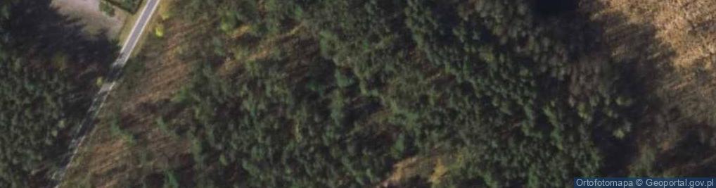 Zdjęcie satelitarne Pomnik zamordowanych Żydów