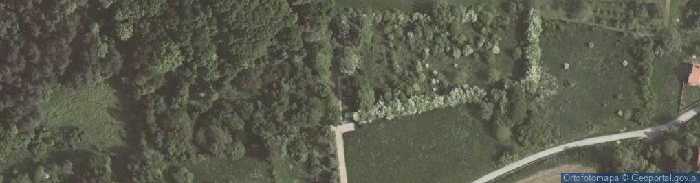 Zdjęcie satelitarne Pomnik zamordowanym Żydom