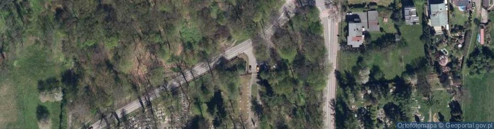 Zdjęcie satelitarne Pomnik żołnierzy radzieckich