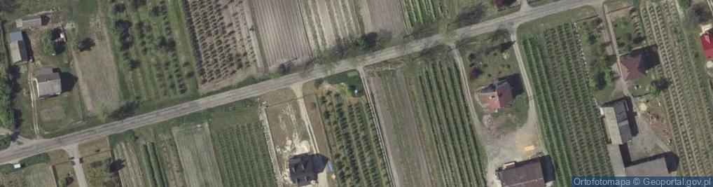 Zdjęcie satelitarne Pomordowanym Partyzantom Bayalionów Chłopskich Poległym w Walce