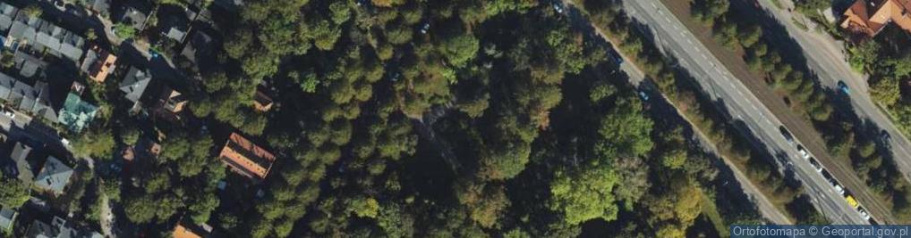 Zdjęcie satelitarne W hołdzie najmłodszym żołnierzom