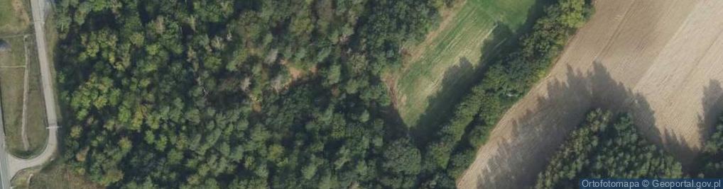 Zdjęcie satelitarne W hołdzie ofiarom hitleryzmu z II wojny światowej roku