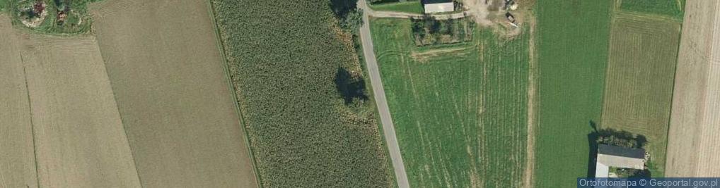 Zdjęcie satelitarne W hołdzie zamordowanym przez Niemców