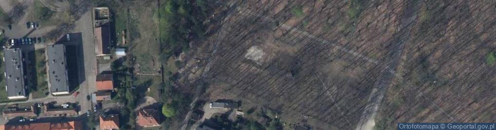 Zdjęcie satelitarne W IV-tą Rocznicę Przywrócenia Jasienia do Macierzy