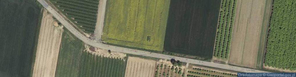 Zdjęcie satelitarne Żołnierzom poległym w I Wojnie Światowej pod Izdebną