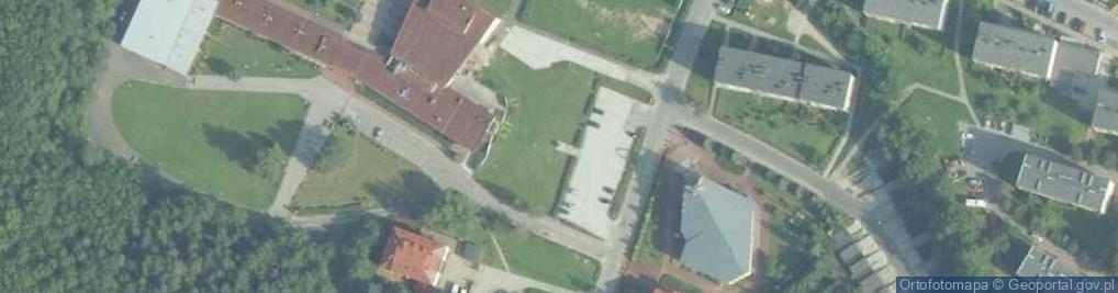 Zdjęcie satelitarne Żołnierzom Polskim ze Wszystkich Frontów i Partyzantom AL, GL,