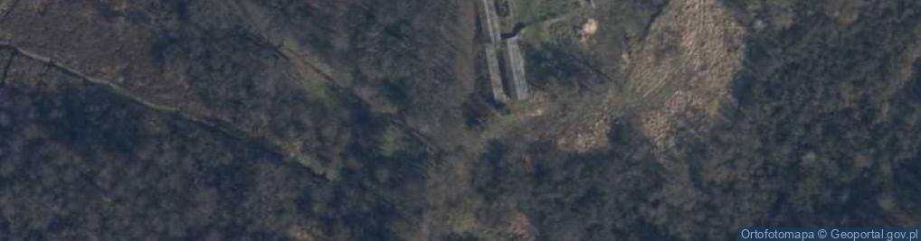 Zdjęcie satelitarne Aleja drzew - graby