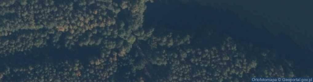 Zdjęcie satelitarne Dąb Bartuś
