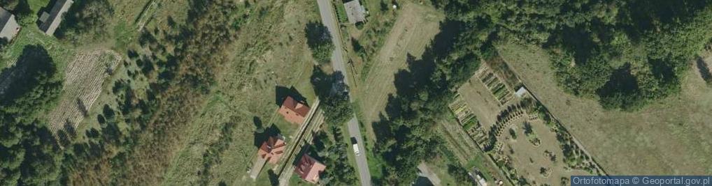 Zdjęcie satelitarne Dąb szypułkowy
