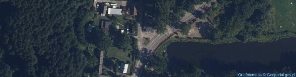 Zdjęcie satelitarne Dąb szypułkowy