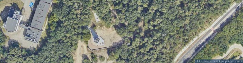Zdjęcie satelitarne Dąb Zawiślak