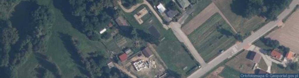 Zdjęcie satelitarne Dąb
