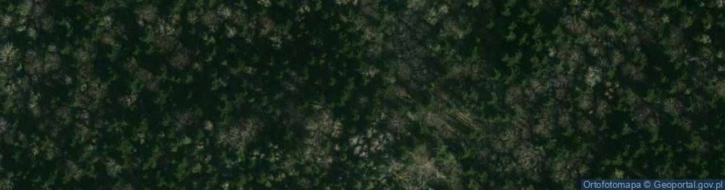 Zdjęcie satelitarne Diabli Kamień