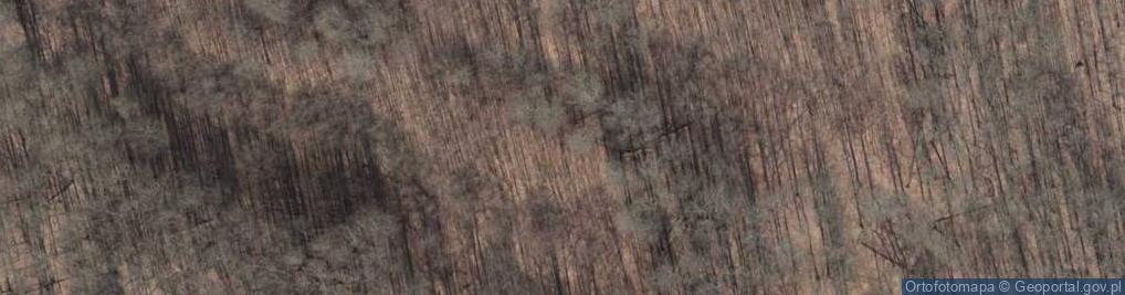 Zdjęcie satelitarne Głaz Grońskiego