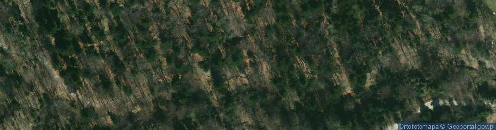 Zdjęcie satelitarne Jodła