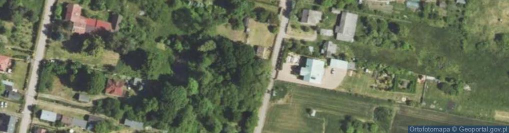 Zdjęcie satelitarne Lipa drobnolistna