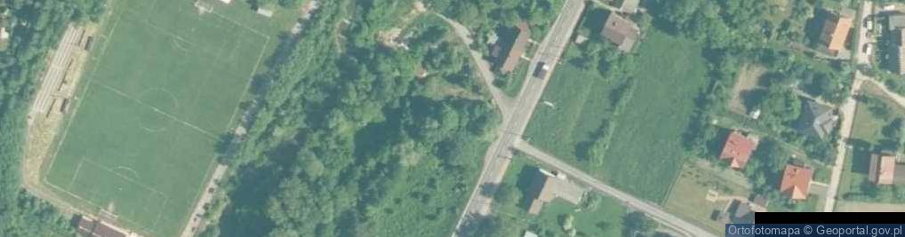 Zdjęcie satelitarne Lipa szerokolistna