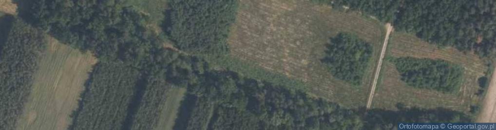 Zdjęcie satelitarne park dworski