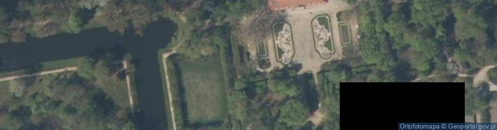 Zdjęcie satelitarne Platan