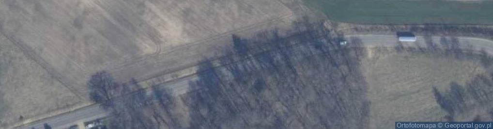 Zdjęcie satelitarne POMNIK PRZYRODY