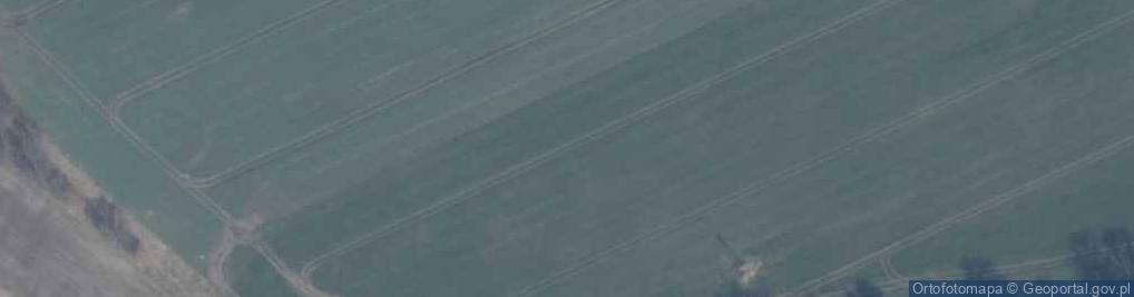 Zdjęcie satelitarne POMNIK PRZYRODY