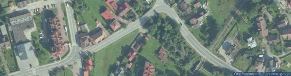 Zdjęcie satelitarne Topola czarna