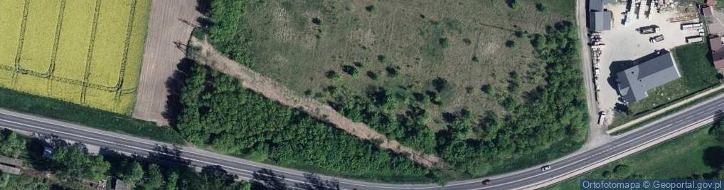 Zdjęcie satelitarne Pomoc Drogowa S17 S12