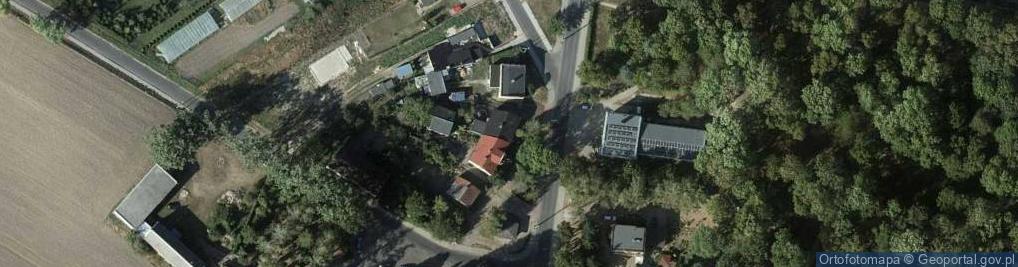 Zdjęcie satelitarne Aleksandrowski.media