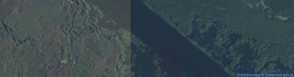 Zdjęcie satelitarne tor wodny - jez. Drużno