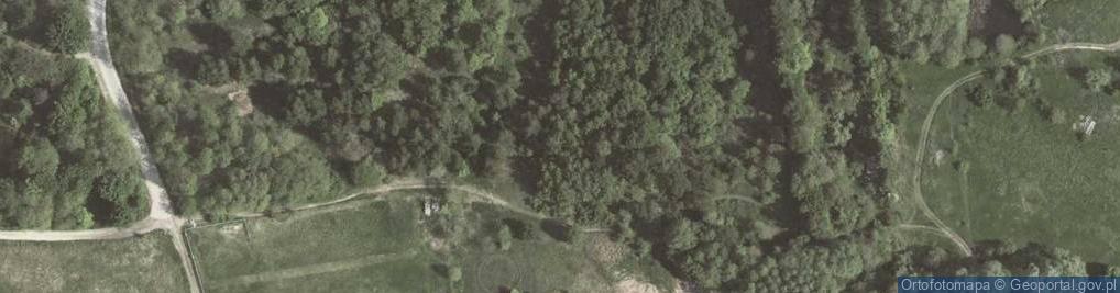 Zdjęcie satelitarne Przecięcie południka i równoleżnika